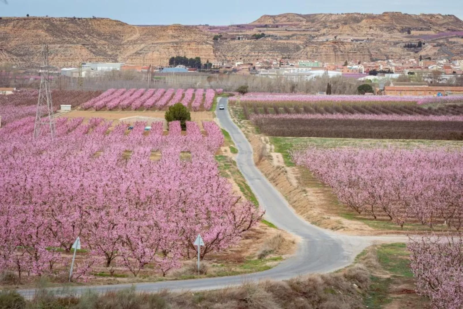 LA TORRE DE SEBASTIA-Areas within 20km in summer
