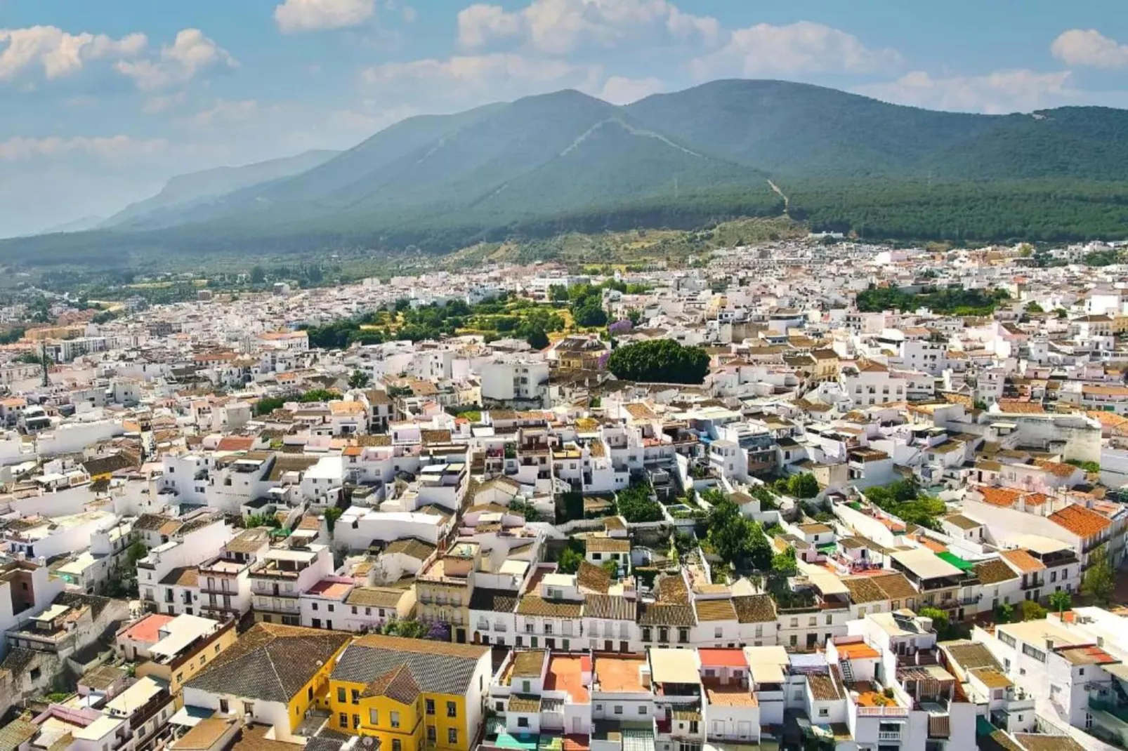 El Mirador-Areas within 20km in summer
