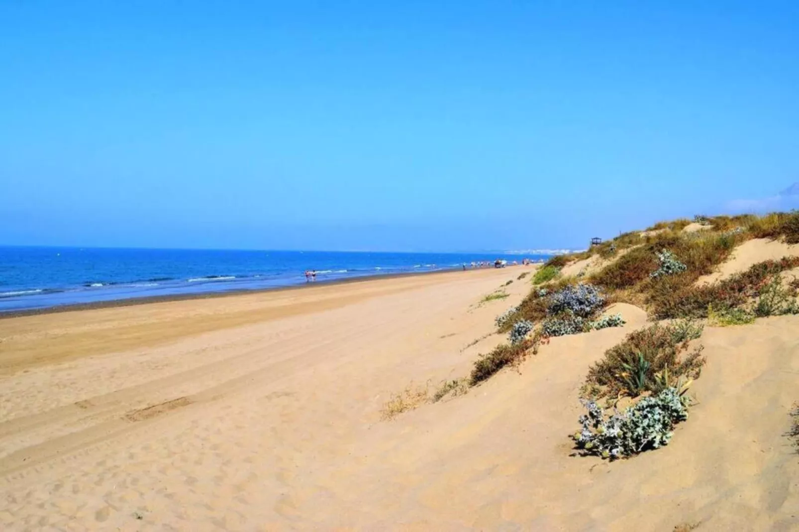 Golden Beach house-Areas within 20km in summer