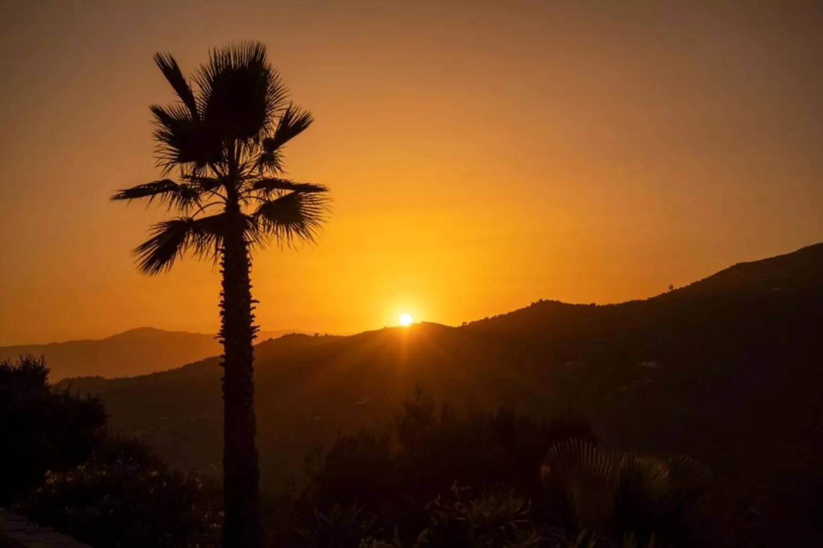 Villa Javier-Areas within 5km in summer