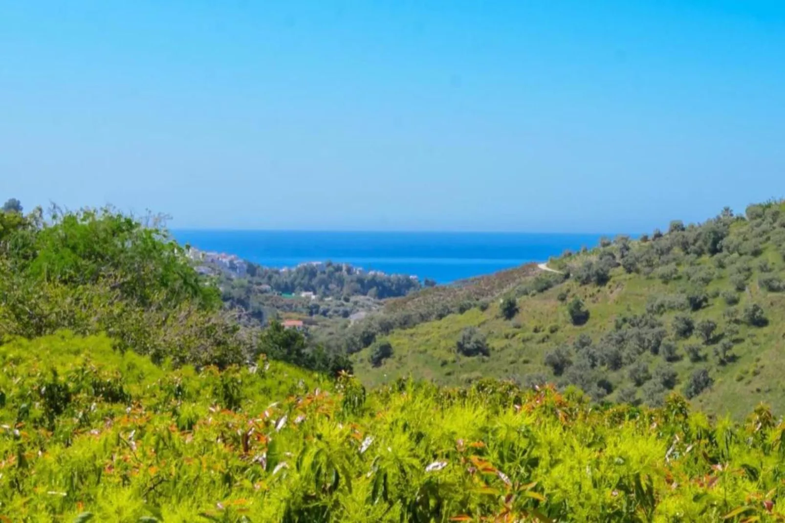 Casa Francisco-Areas within 20km in summer