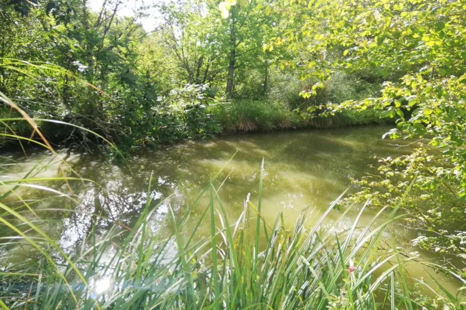 Maison Lamothe-Zones été à 5 km