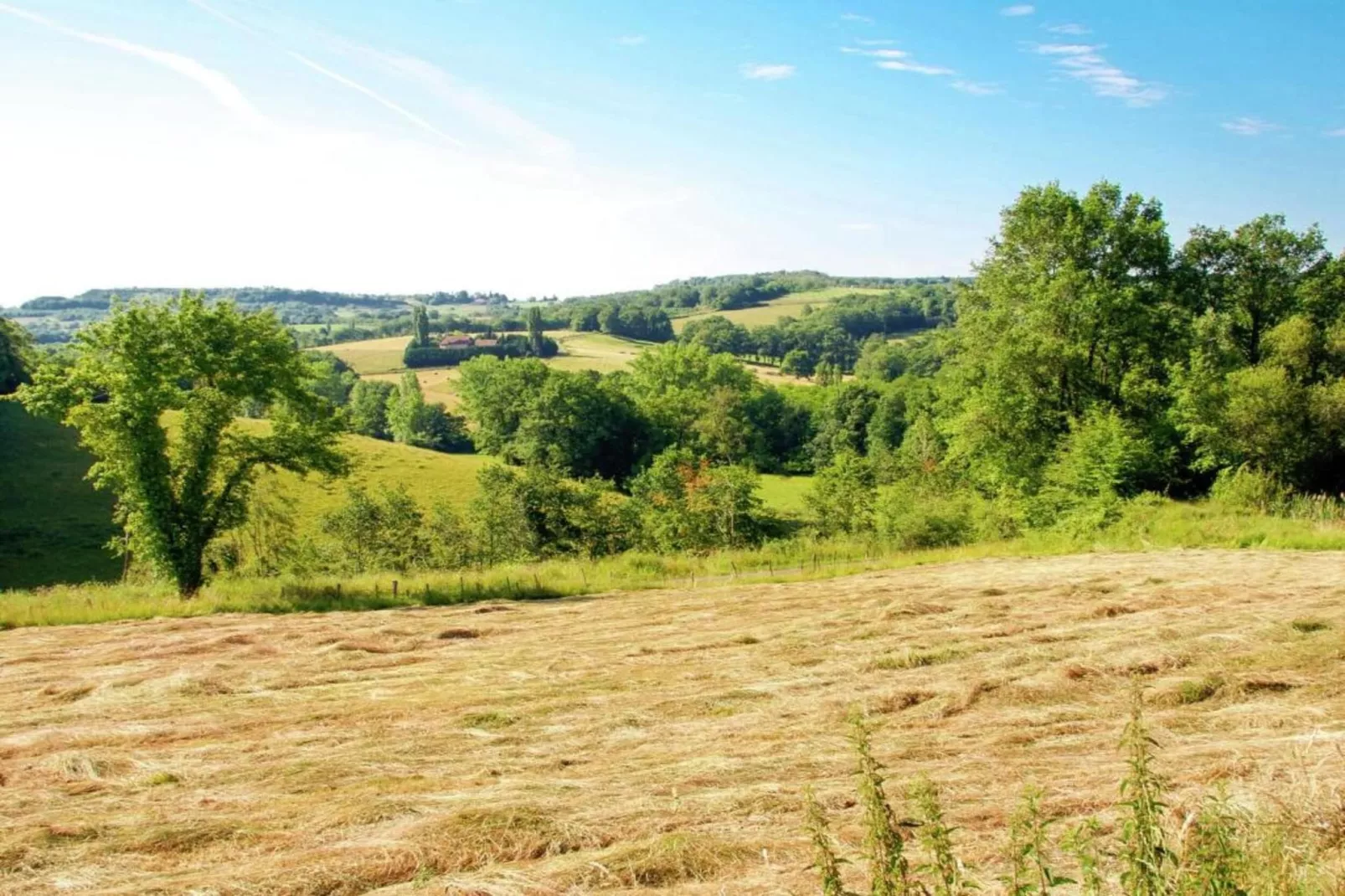 Raffard-Gebiete Sommer 5 km