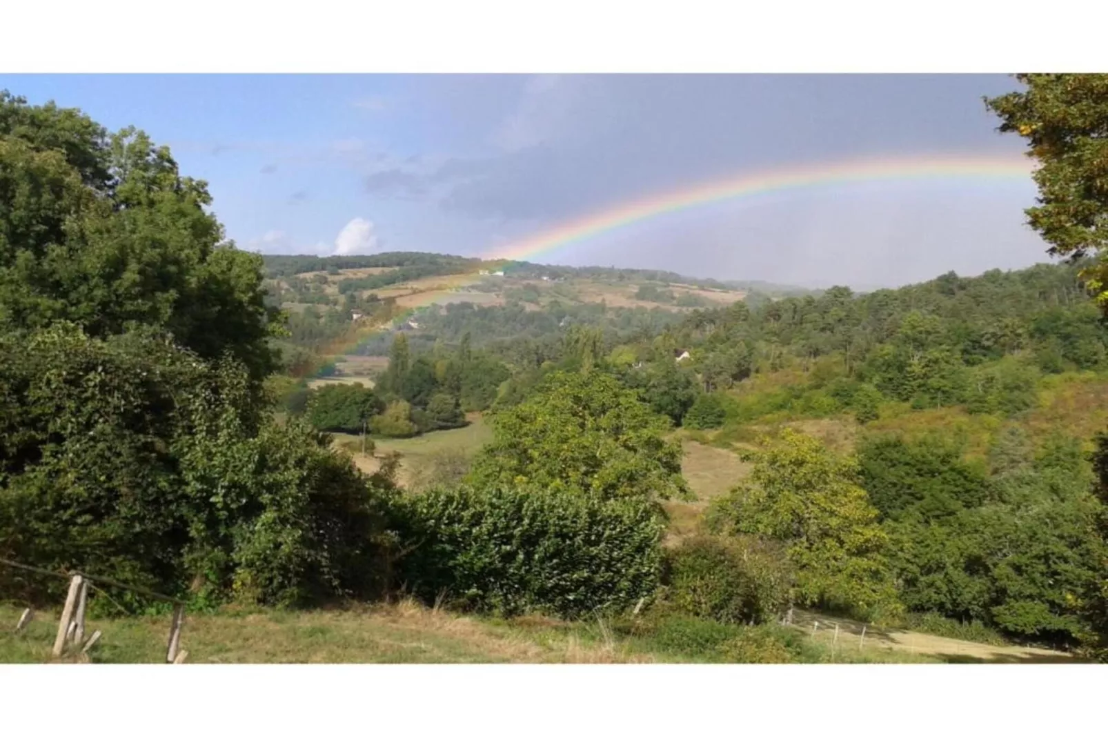 Le Phénix-Areas within 5km in summer