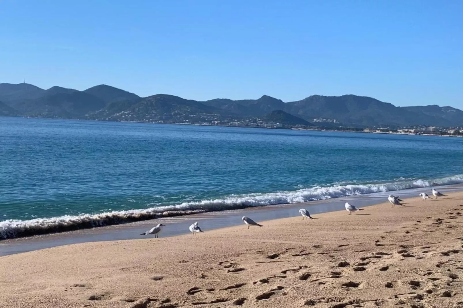 Vue mer-Zones été à 1 km