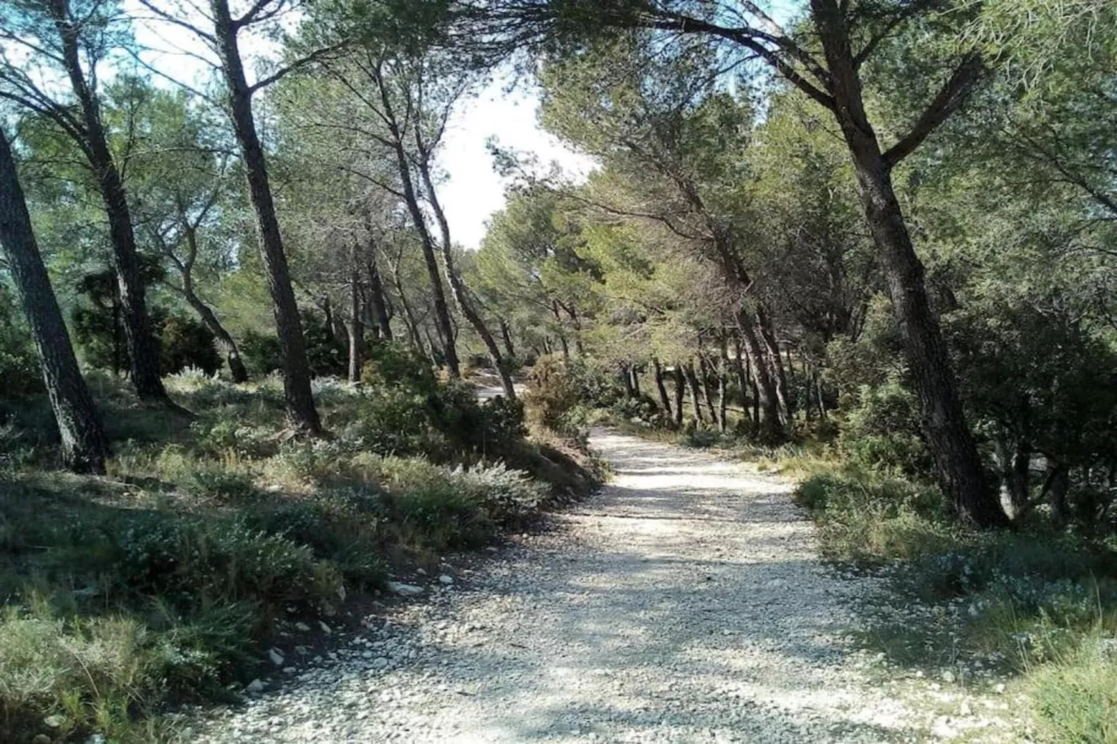 Noves-Areas within 20km in summer