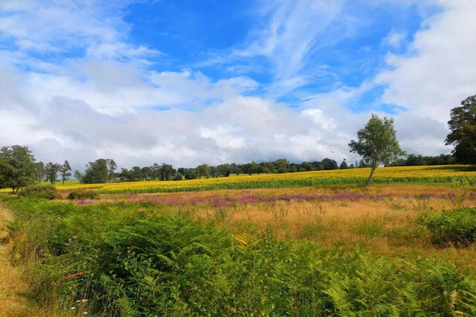 La Belle Cour-Zones été à 5 km