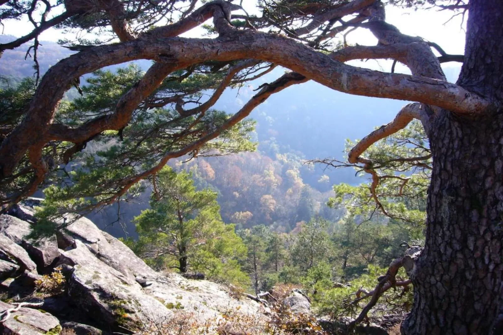 Malemort-Areas within 20km in summer