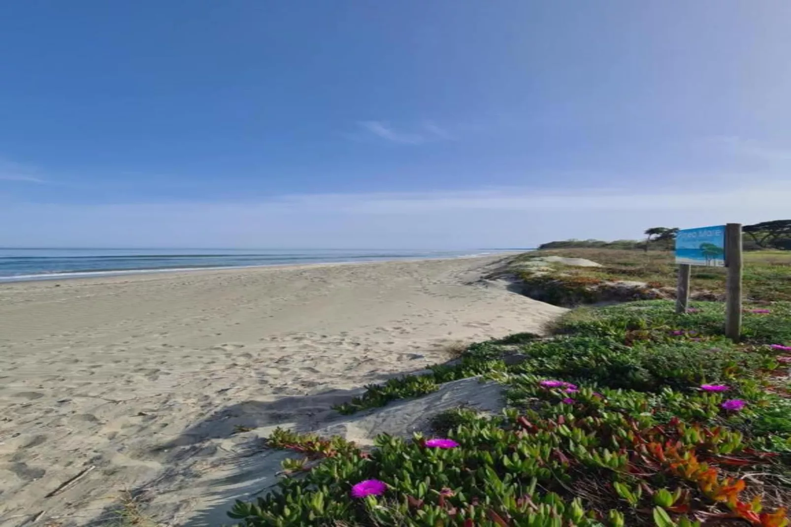 Résidence le Maquis Plage Studio-Areas within 1km in summer