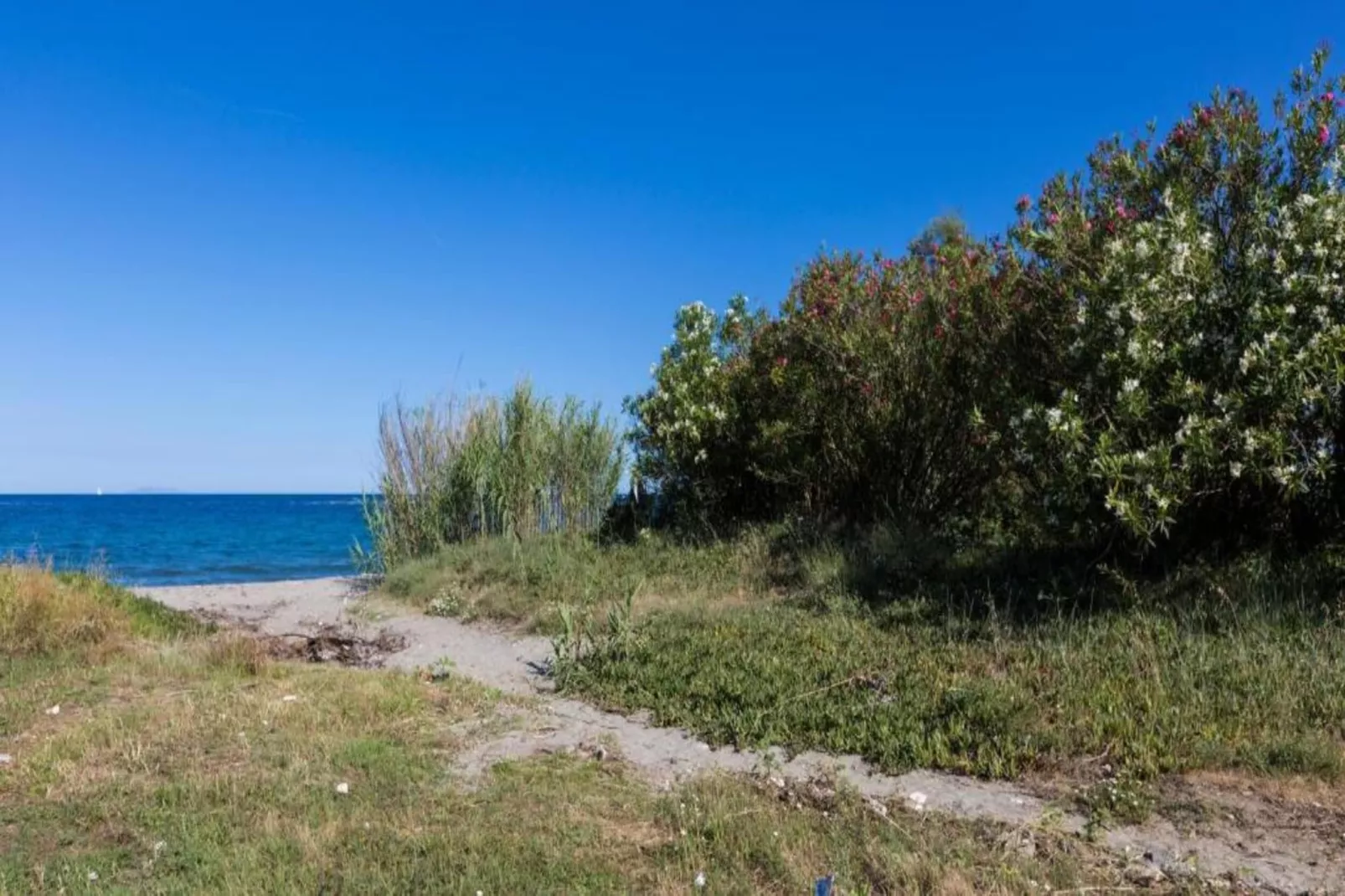 Résidence le Maquis Plage Type 1-Areas within 20km in summer