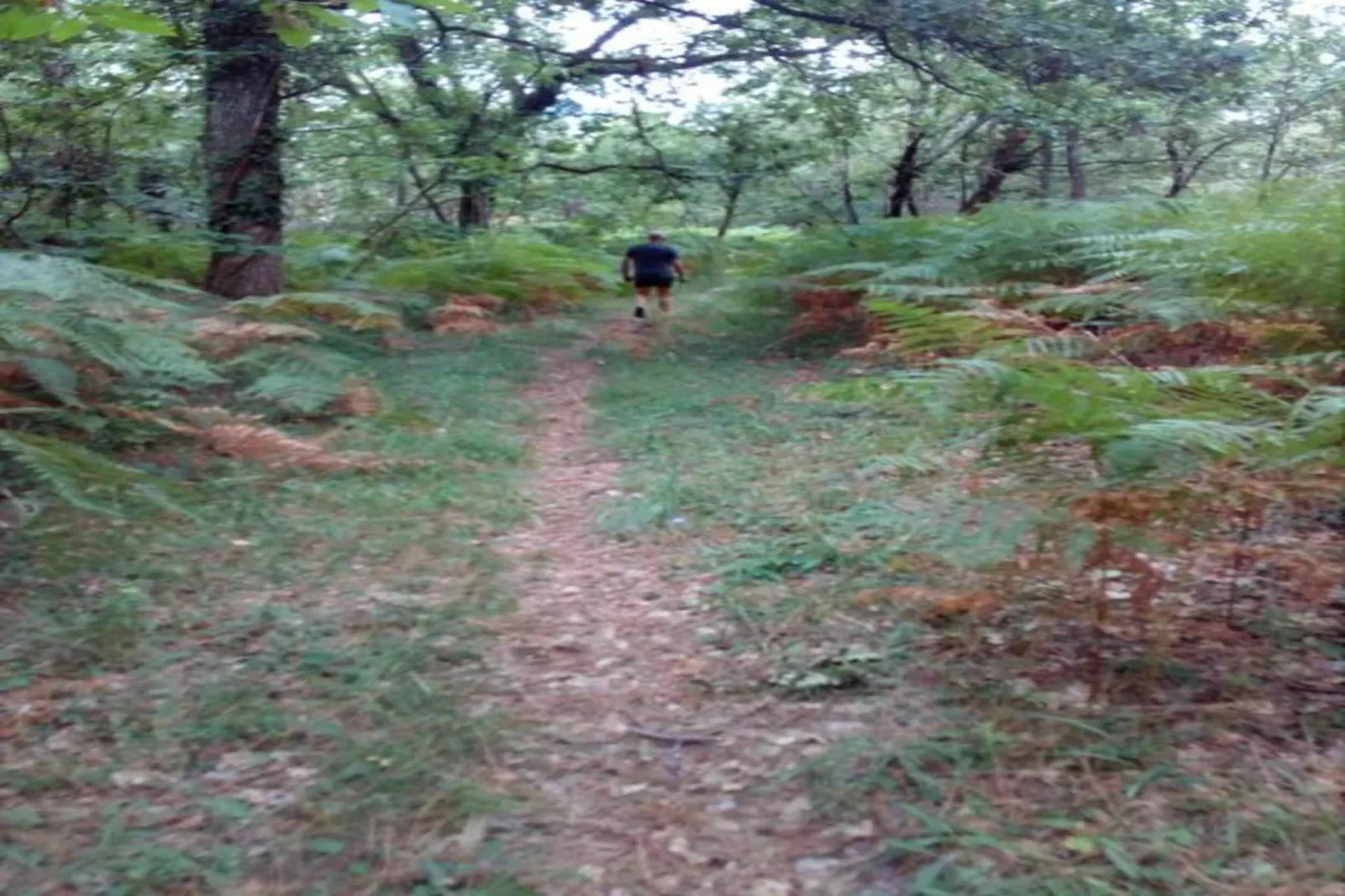 Cendrieux-Zones été à 20 km