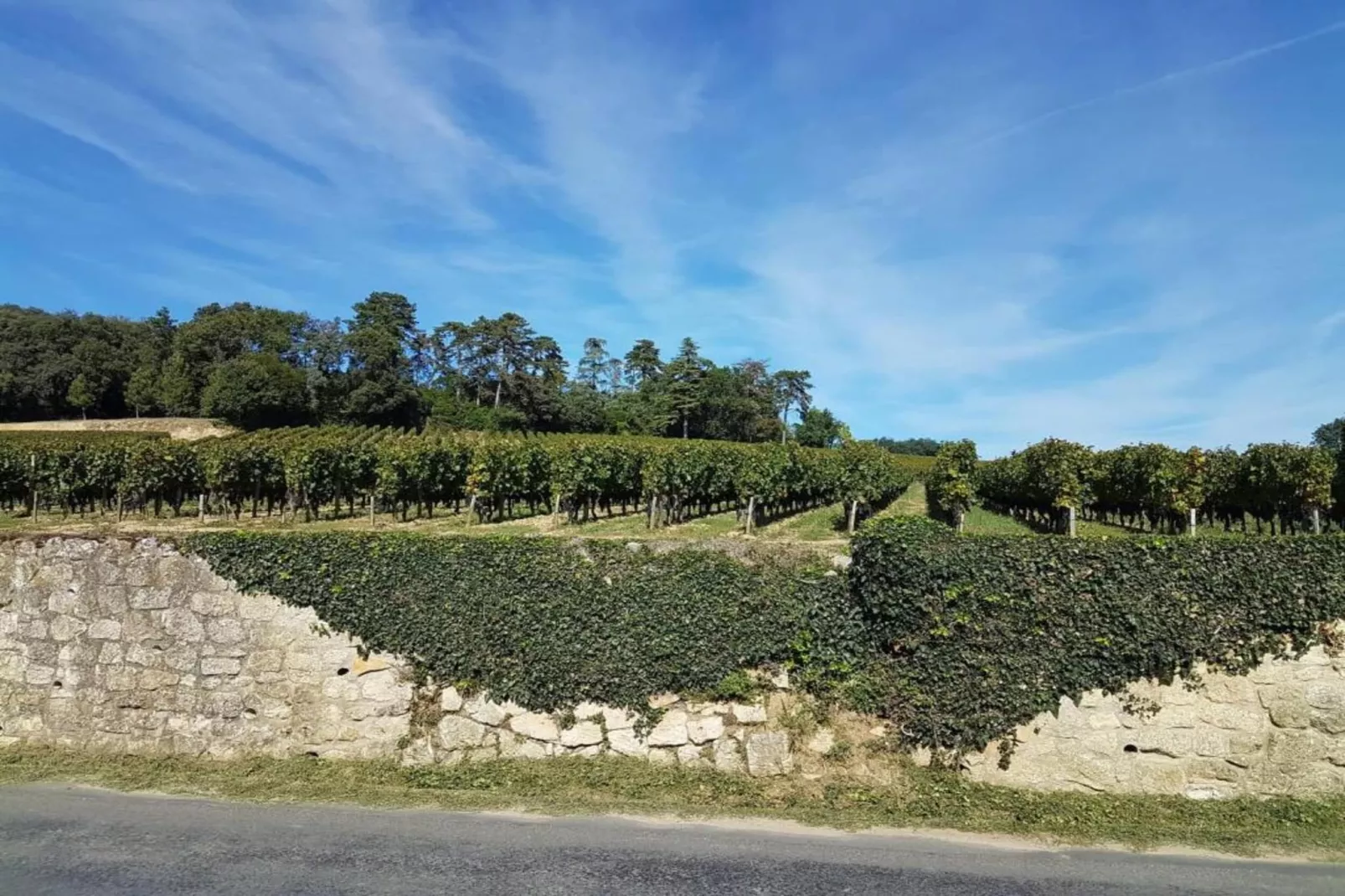Gîte du Château-Areas within 5km in summer