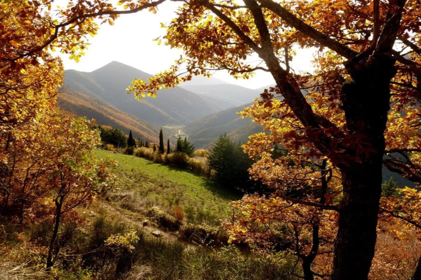 Villa Enniroc-Areas within 20km in summer