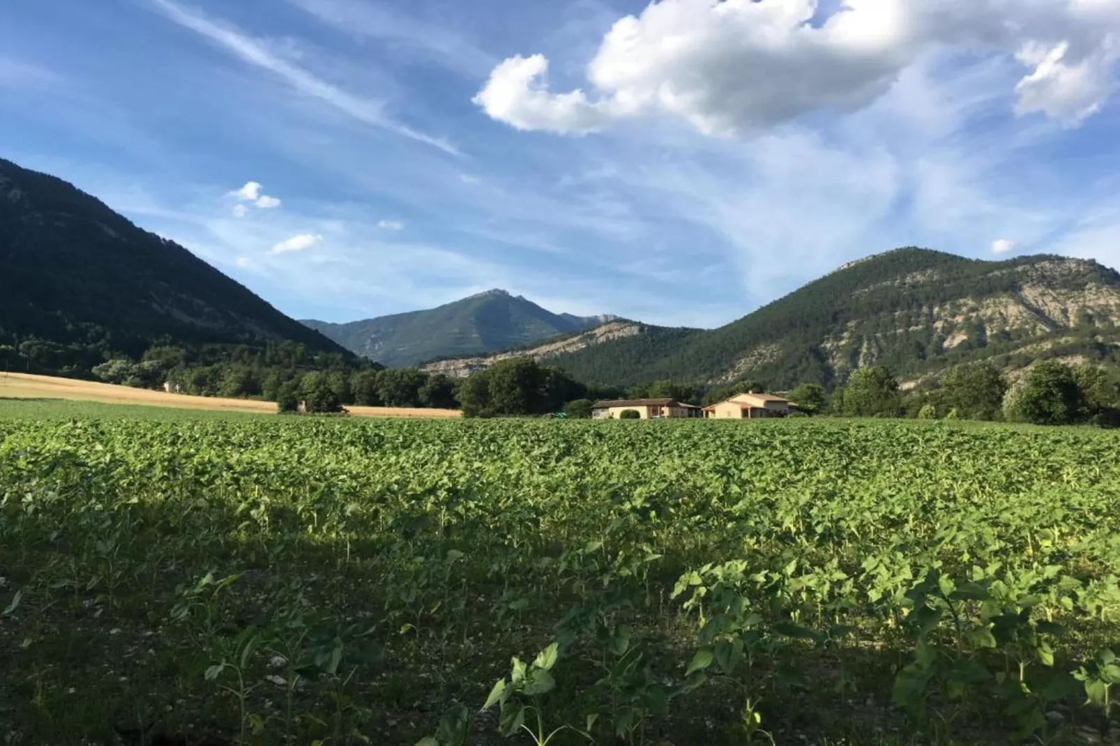 Maison de vacances - MARIGNAC-EN-DIOIS-Gebiete Sommer 20 km