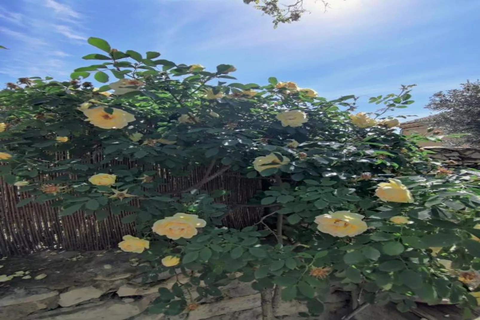 Villa Ollie-Gebiete Sommer 20 km
