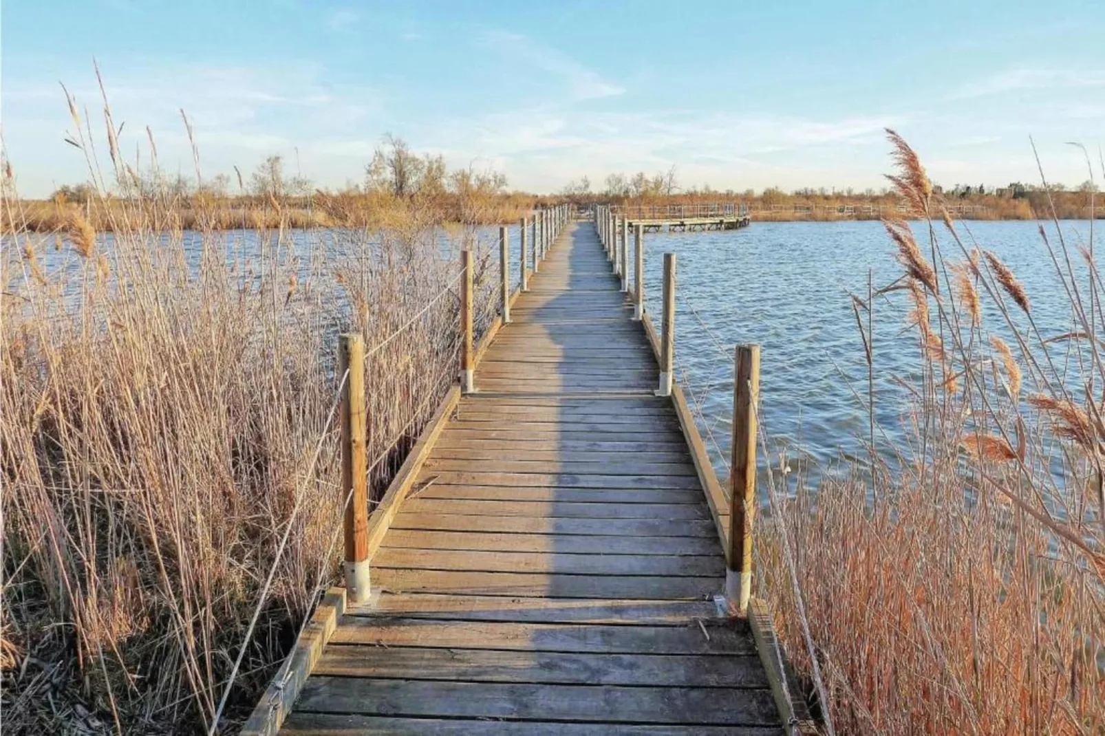Fleur de Sel - Aigues Mortes 4-Areas within 5km in summer
