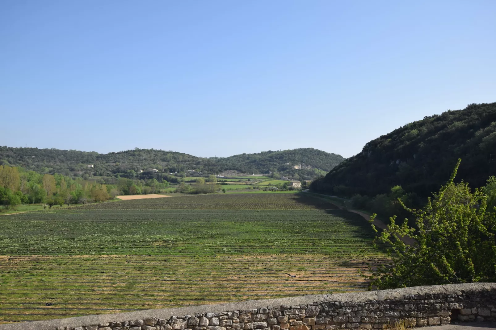 La Bise-View in summer