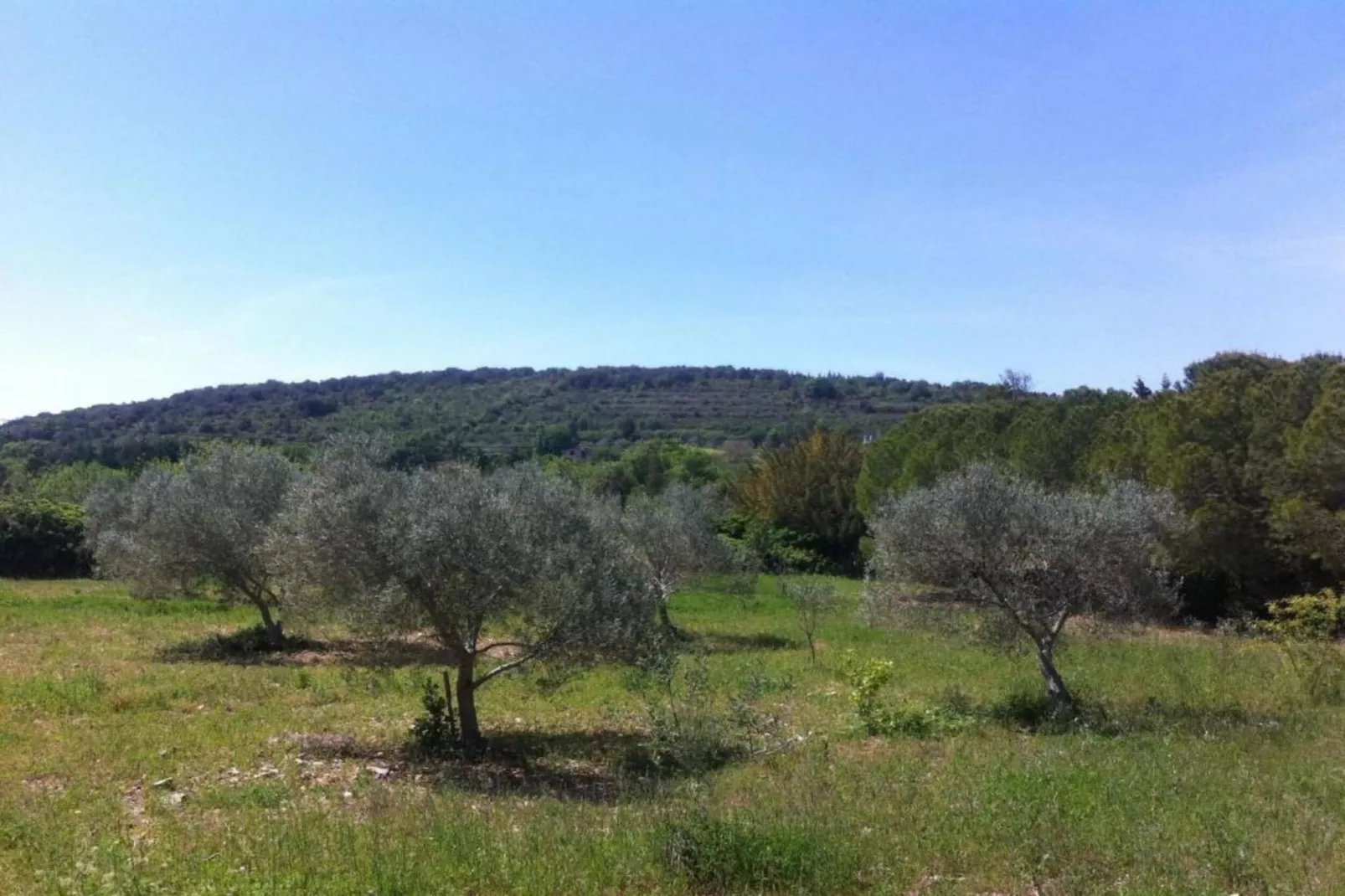 La rosalie-Zones été à 5 km