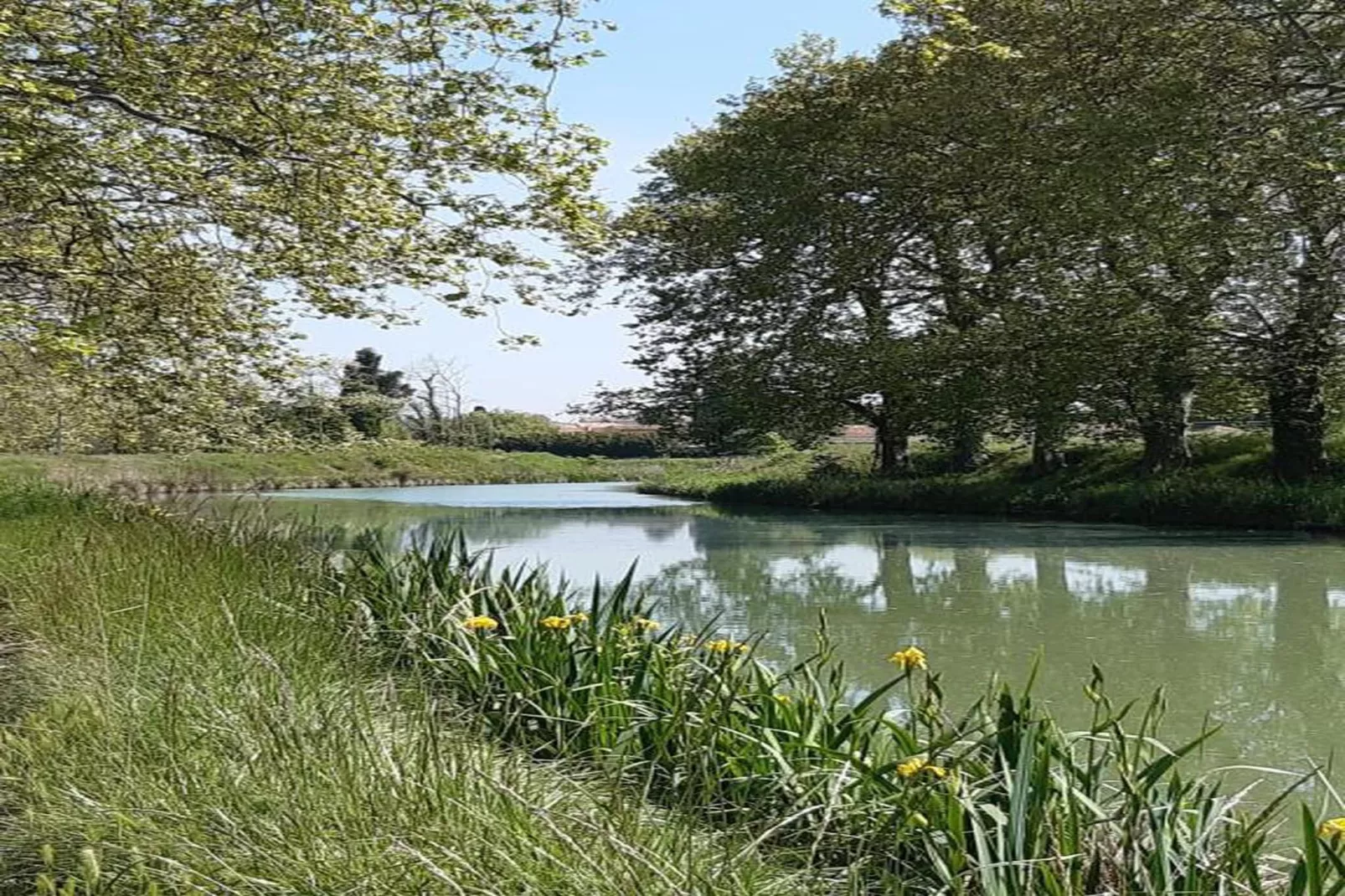 Le Domaine d'Enserune 2-Areas within 20km in summer