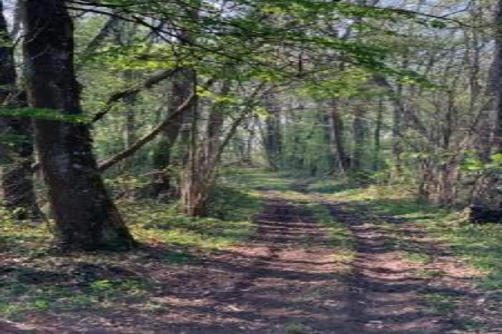 Maison de vacances - CHILLEURS-AUX-BOIS-Areas within 20km in summer