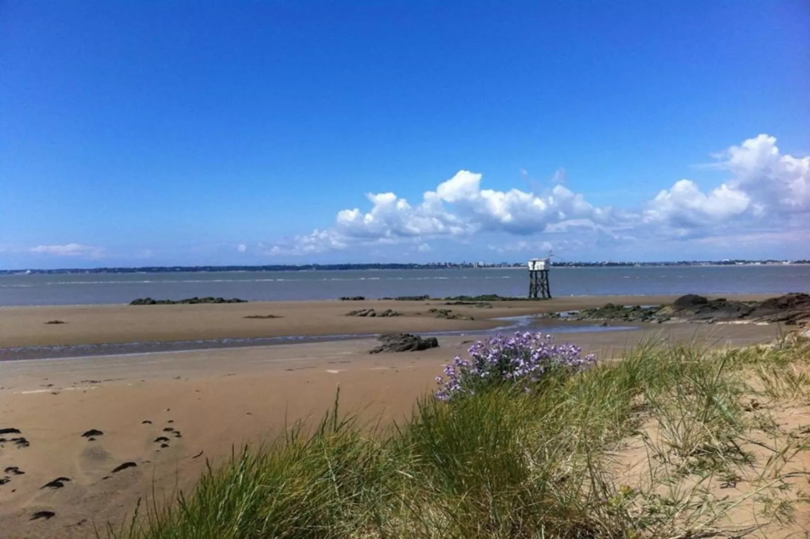 Residence de la Plage 11-Areas within 20km in summer