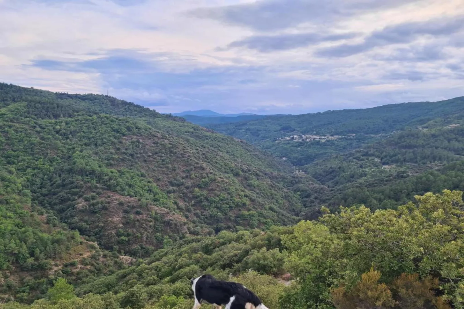 La Chataigne-Gebiete Sommer 5 km