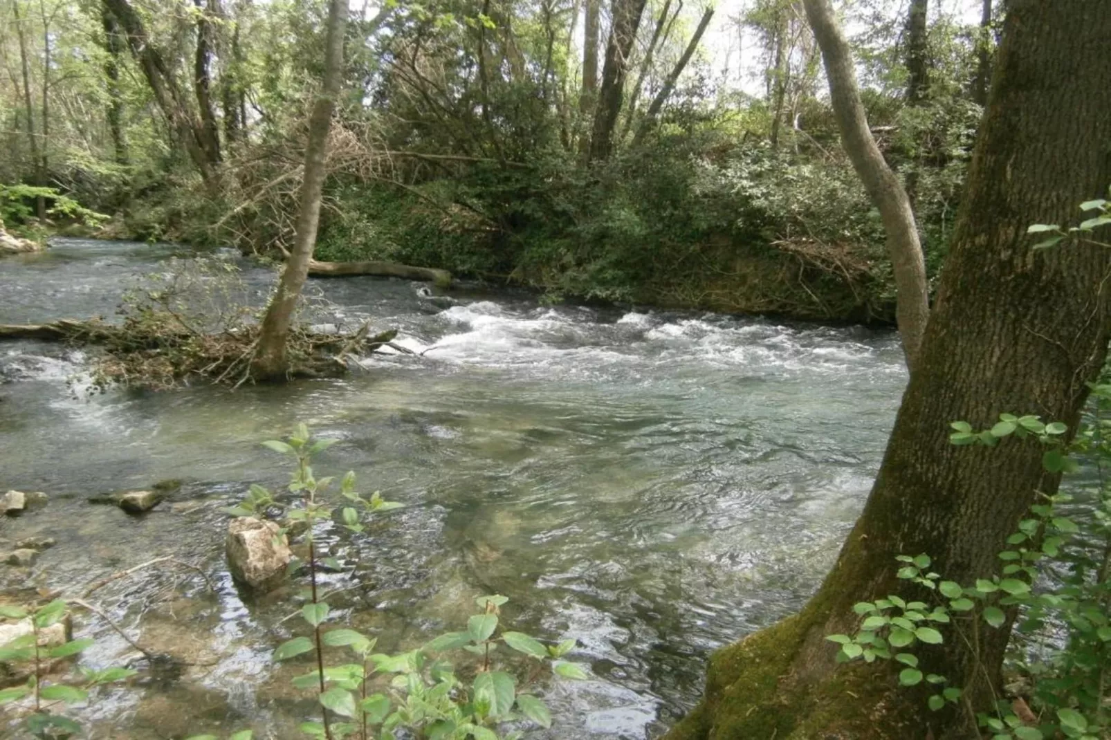 Maison de vacances - SEIGNEULLES-Zones d'été à 5 km