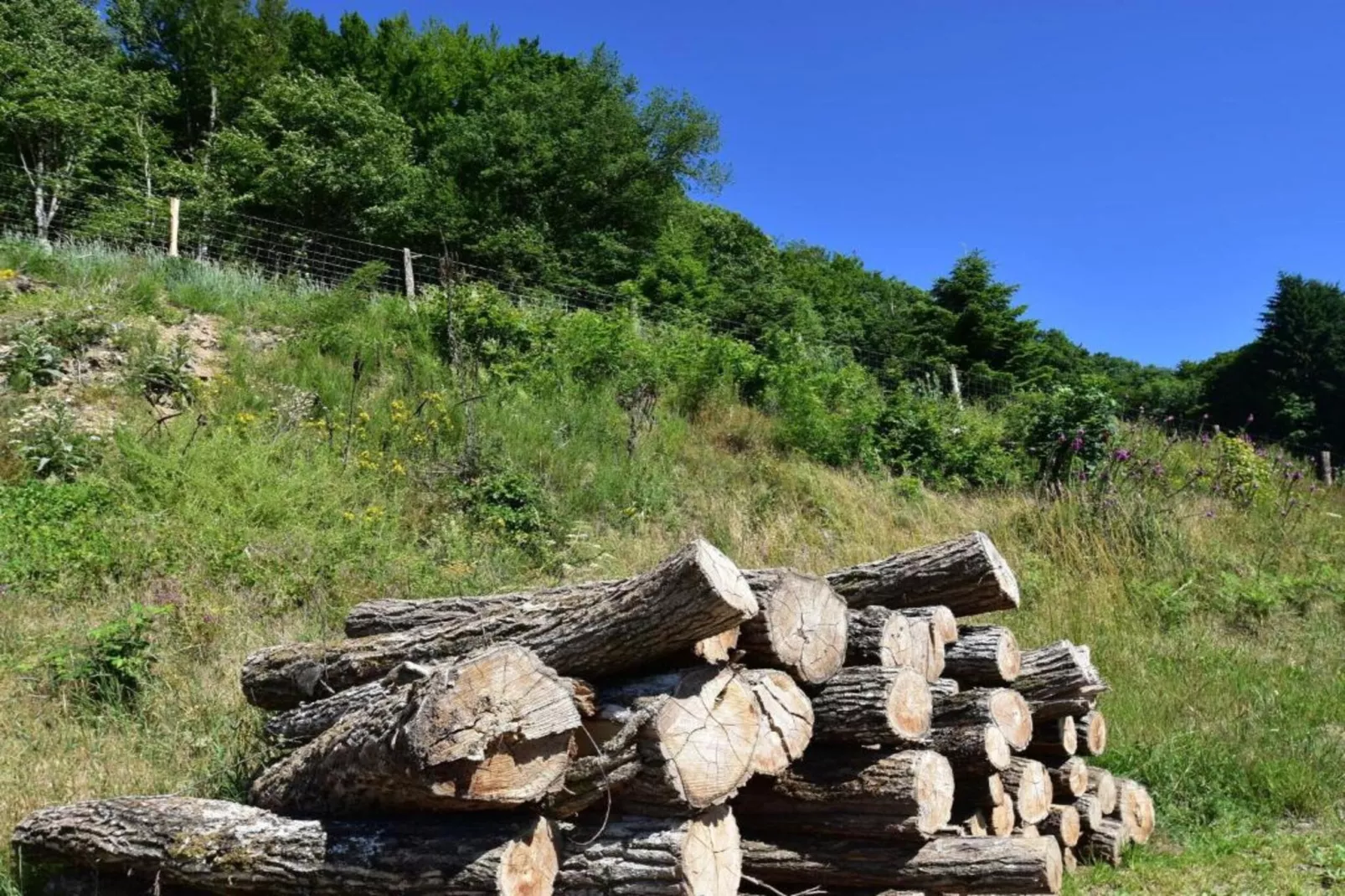 Maison de vacances Tannay-Zones été à 20 km