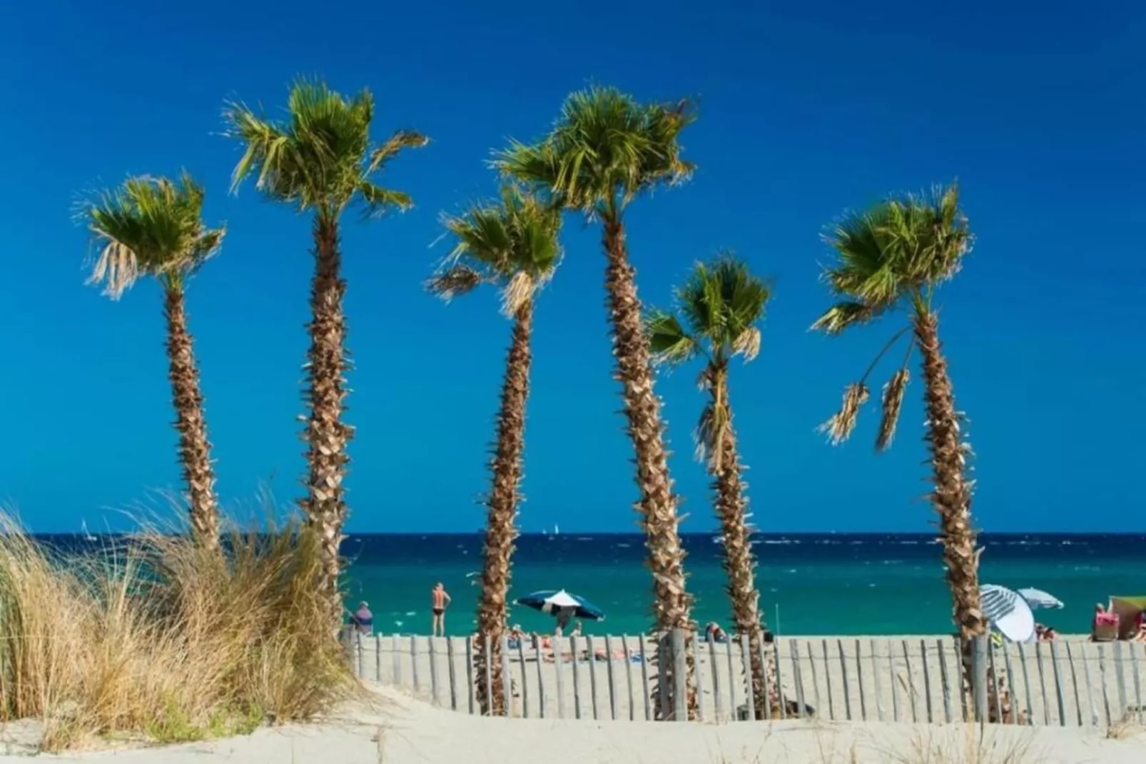 Pierres de Jade 2-Areas within 1km in summer