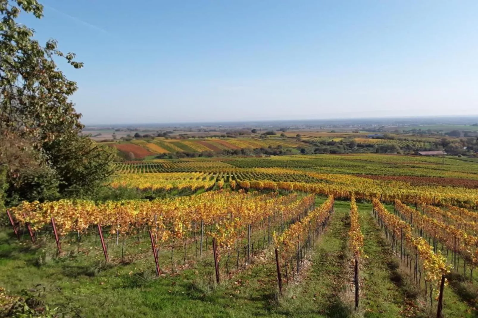 Maison de vacances - SCHLEITHAL-Zones été à 20 km