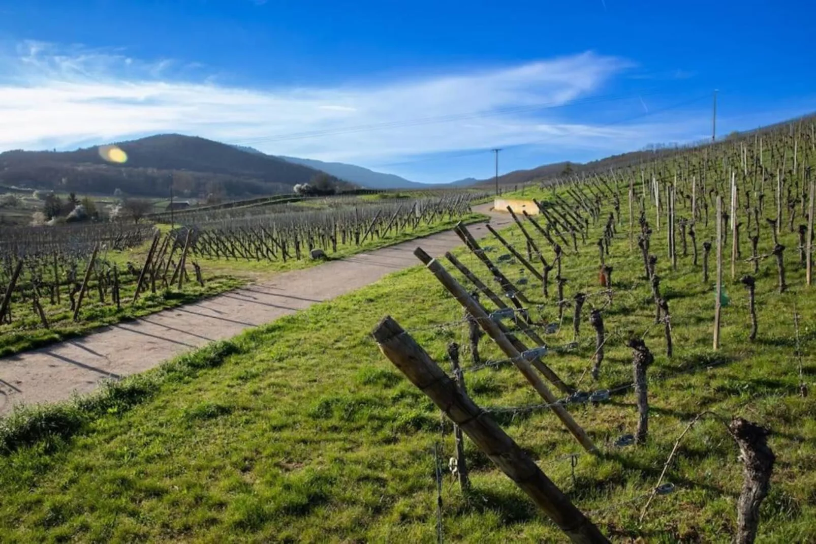 Le Domaine des Rois 1-Areas within 5km in summer