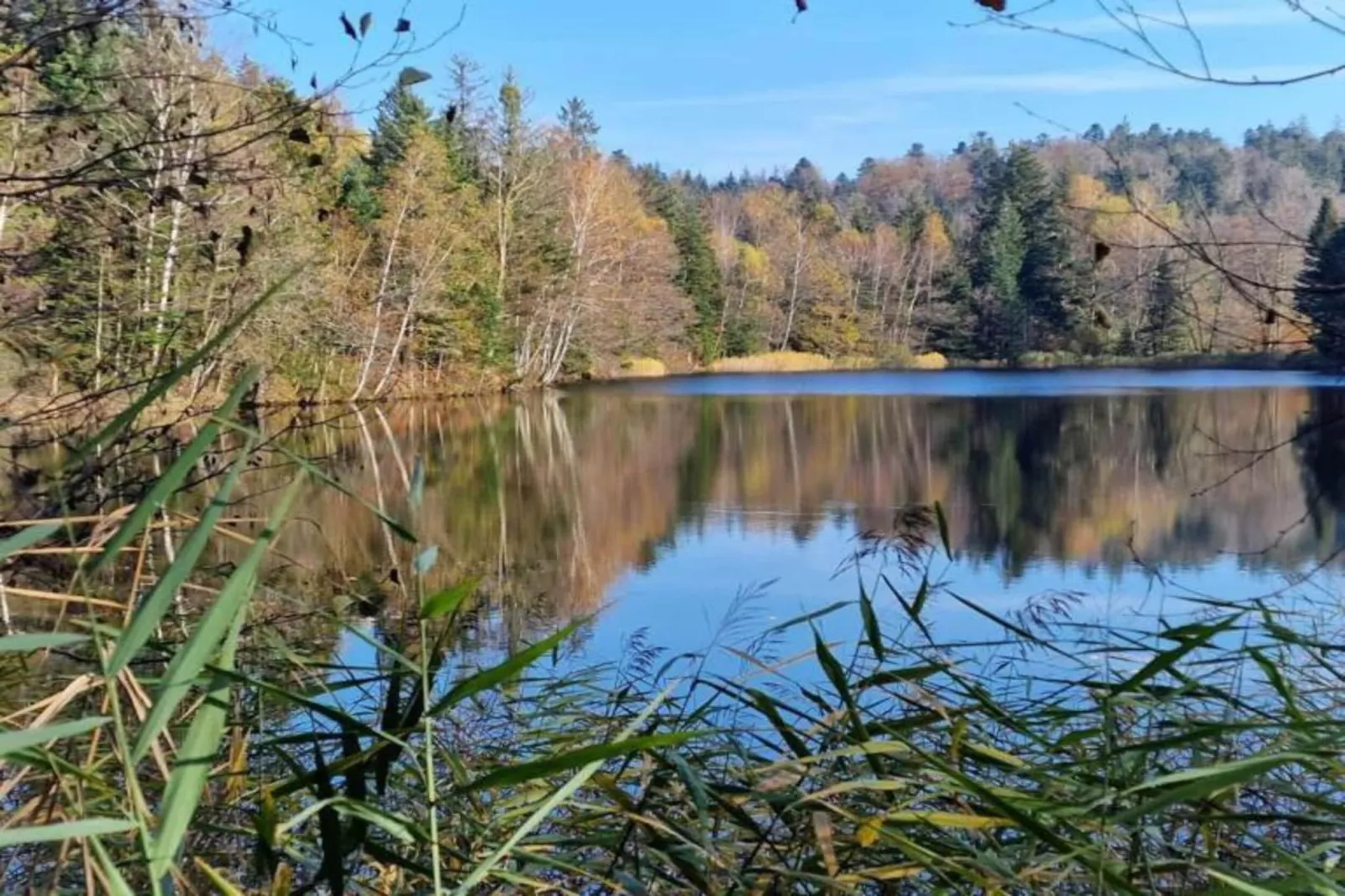 Maison de vacances - ESMOULIÈRES-Gebiete Sommer 5 km