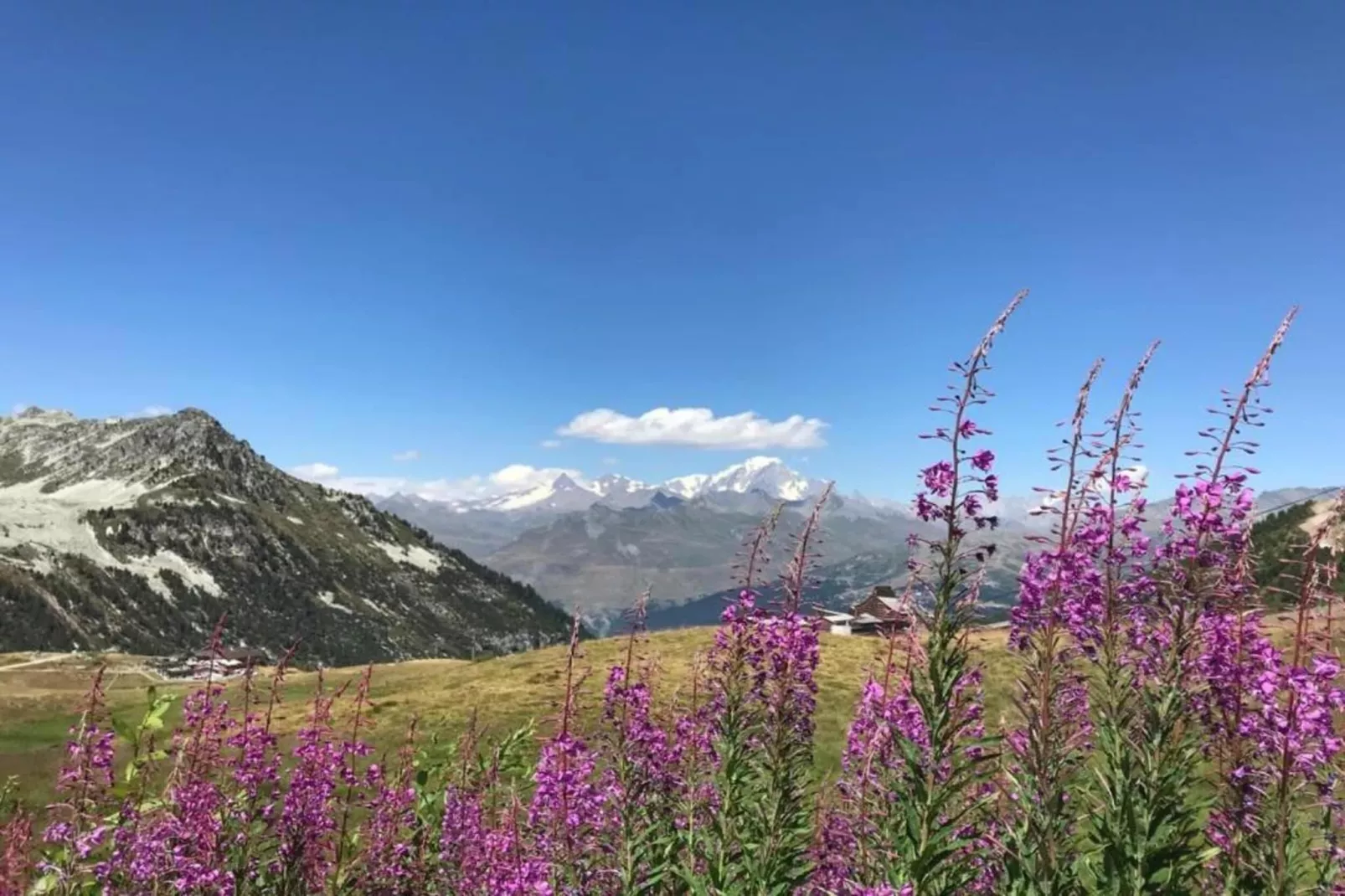 Chalet de L'Ours 1-Gebiete Sommer 20 km