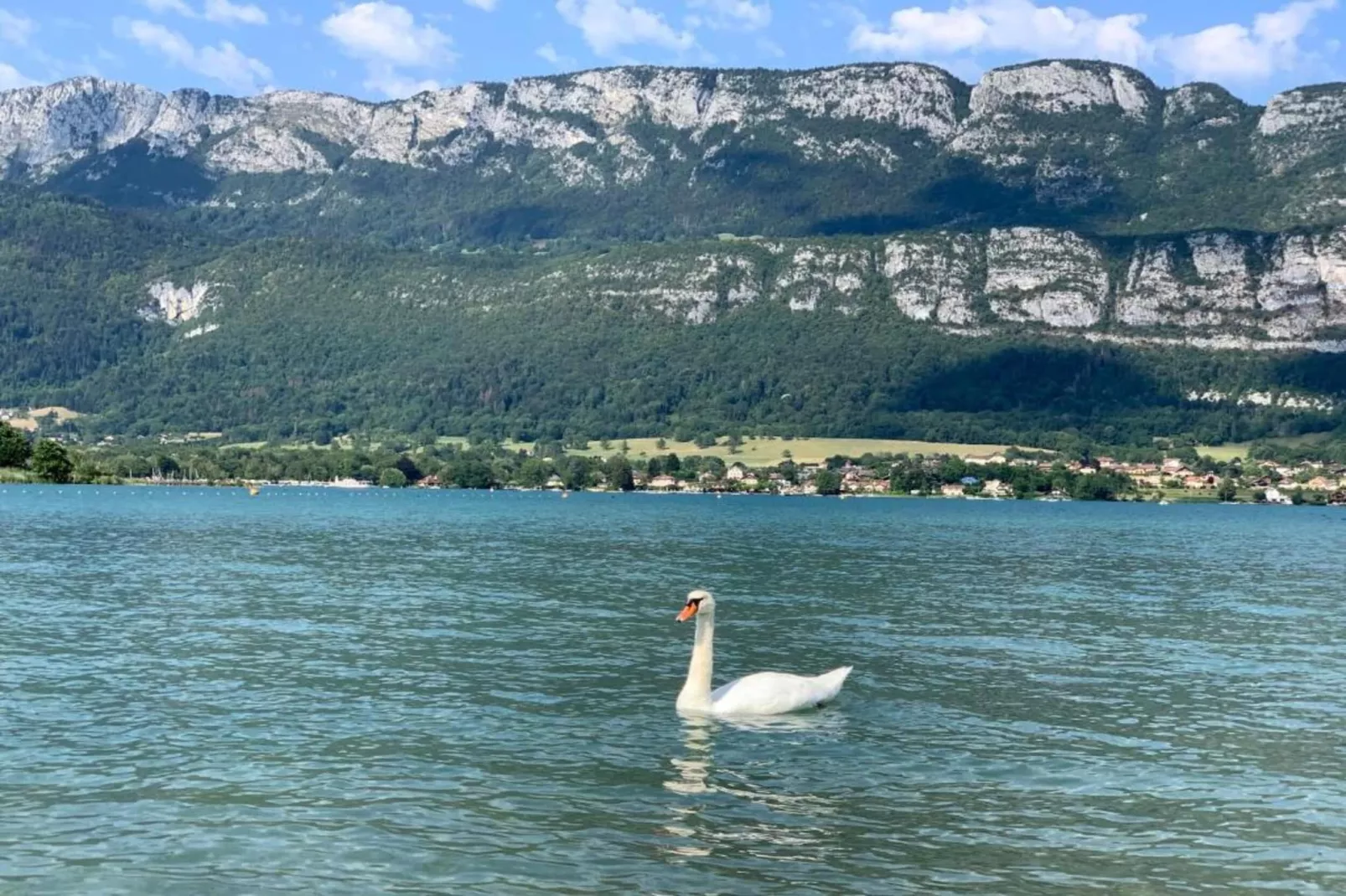 Le Birdie 6-Gebiete Sommer 20 km