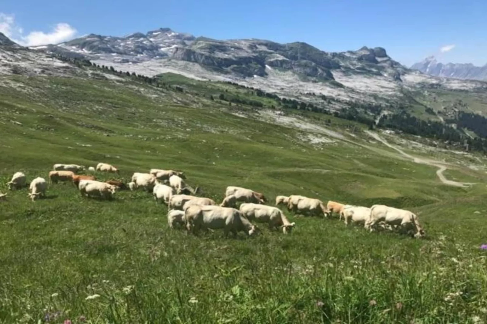 Les Portes du Grand Massif 4-Areas summer 5km
