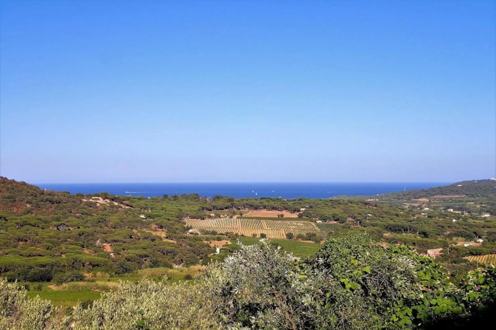 Villa Saint Tropez-Areas within 5km in summer