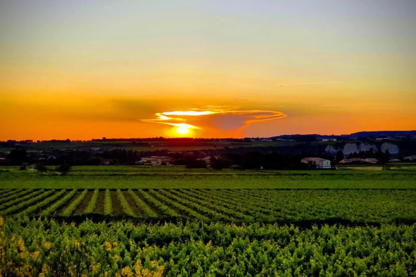 Entre Luberon et Avignon-Areas within 20km in summer