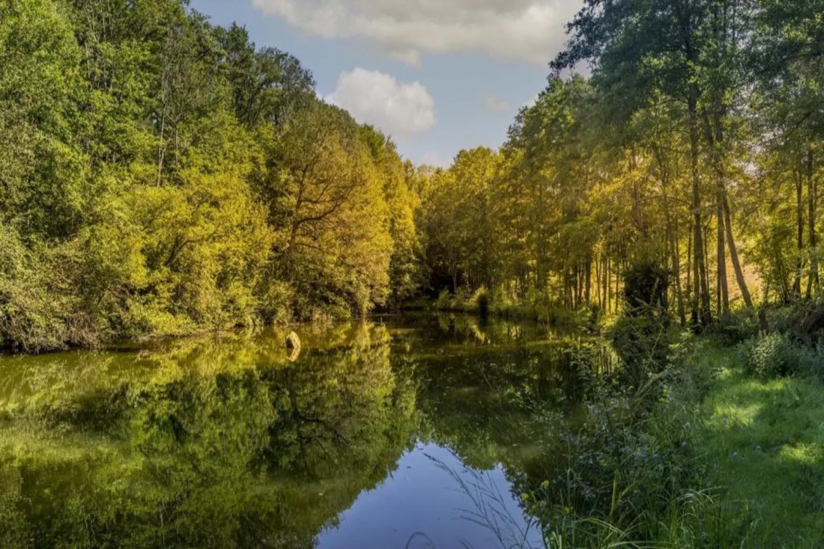 Maison de vacances - LA CHAPELLE-AUX-BOIS-Gebiete Sommer 5 km