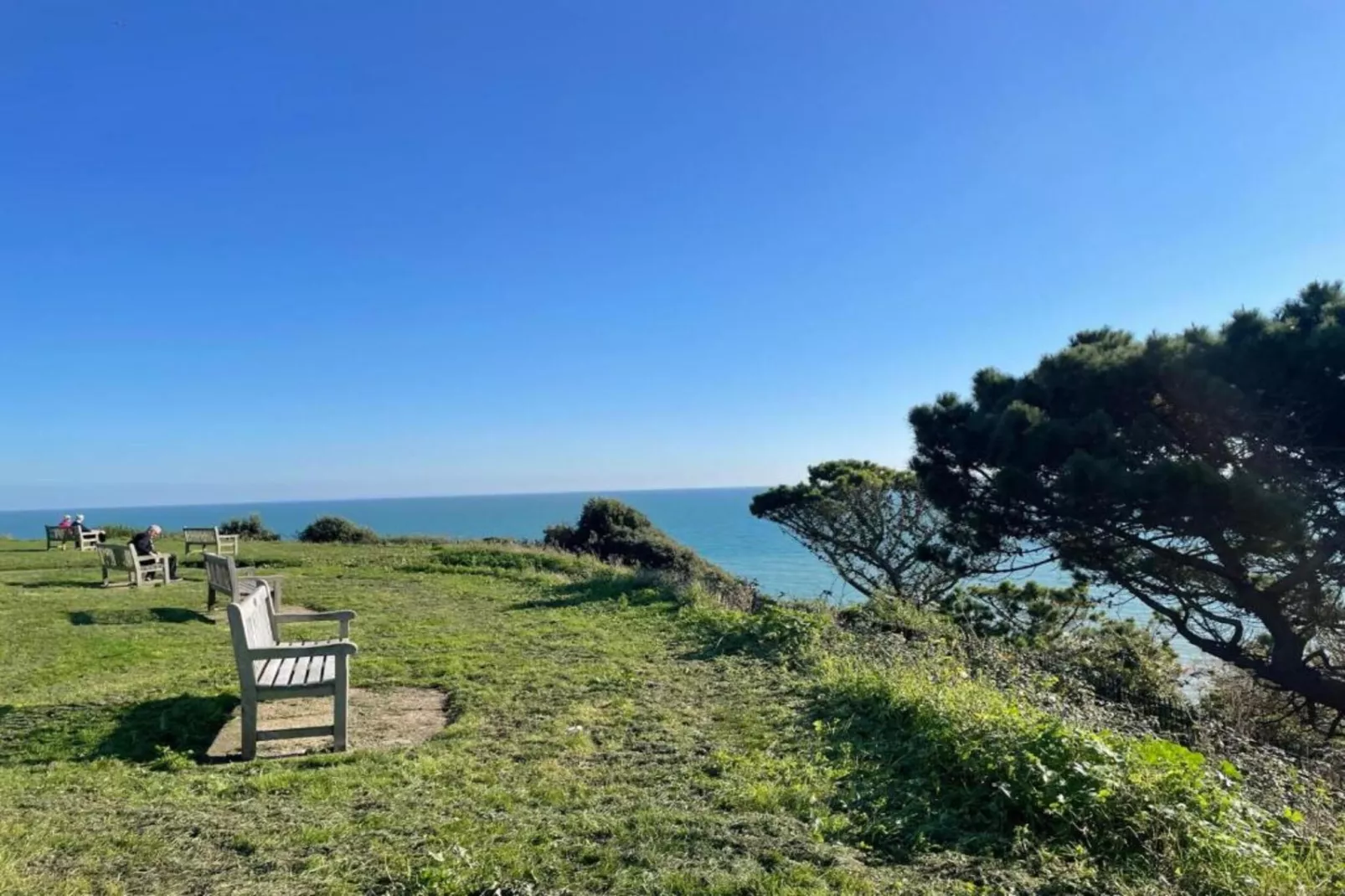 Golden Swan House-Areas within 5km in summer