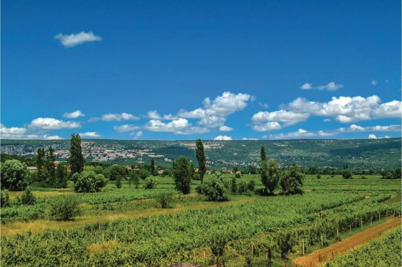 Rosa-Areas within 5km in summer