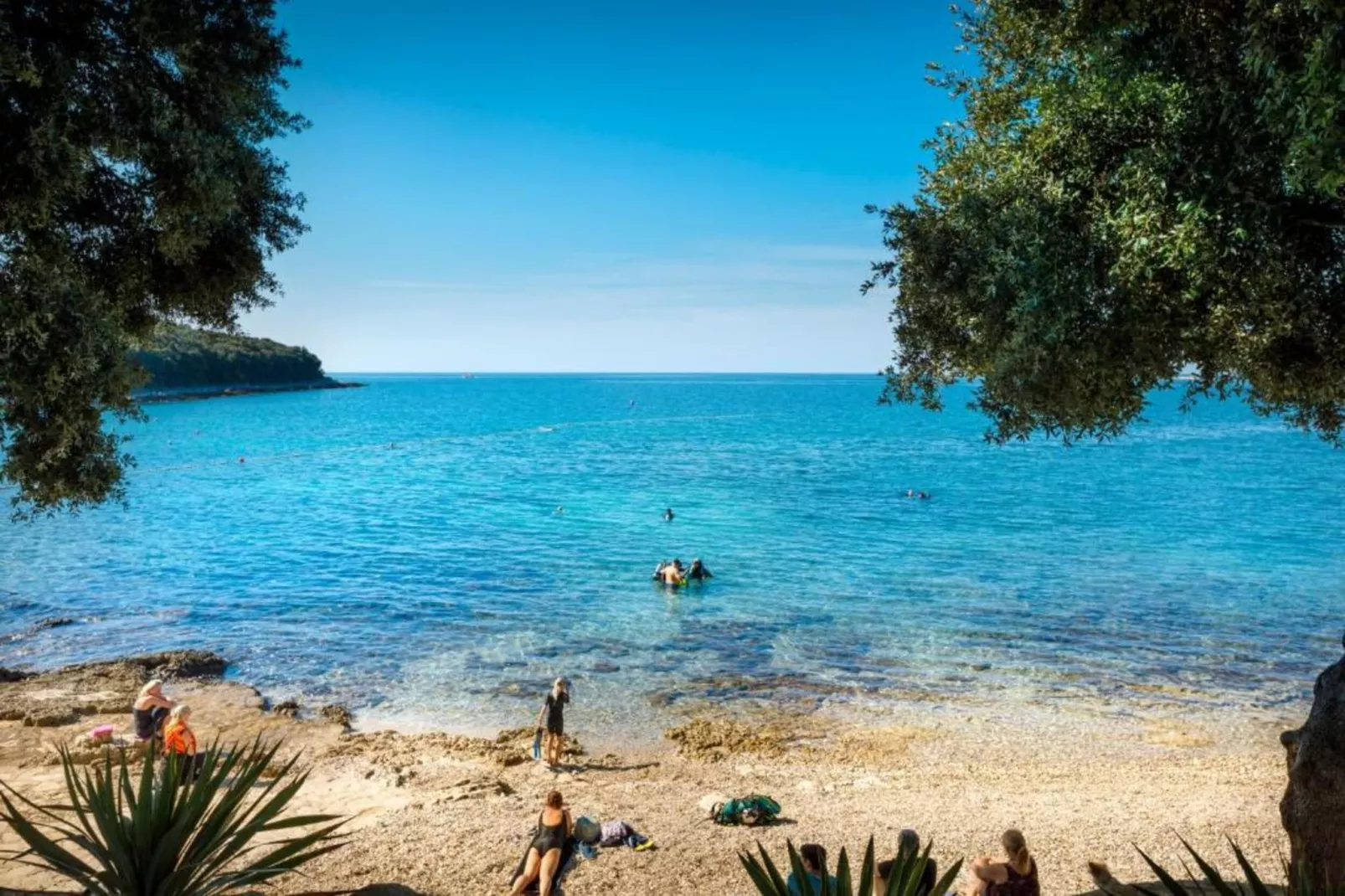 Casa Vacanza Orsera-Areas within 1km in summer