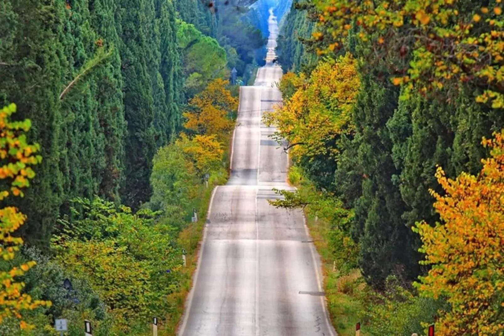 Pineta Camelia-Areas within 20km in summer