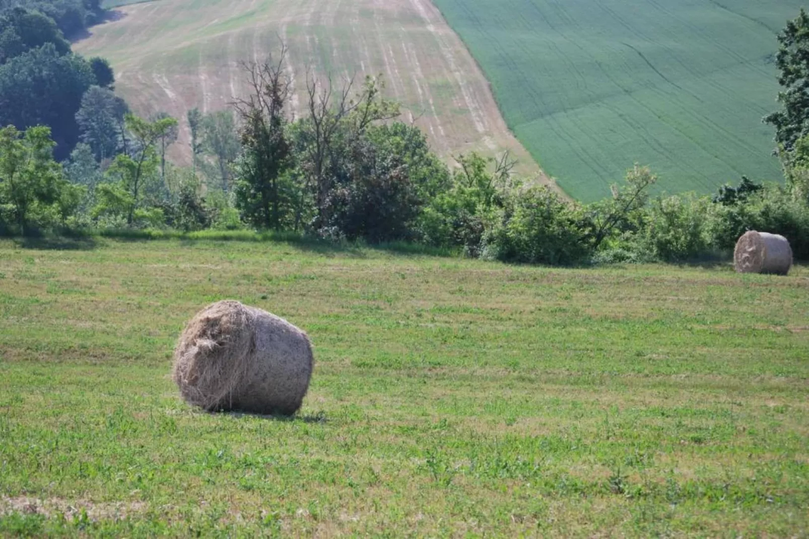 Il Giardiniere-Gebiete Sommer 5 km