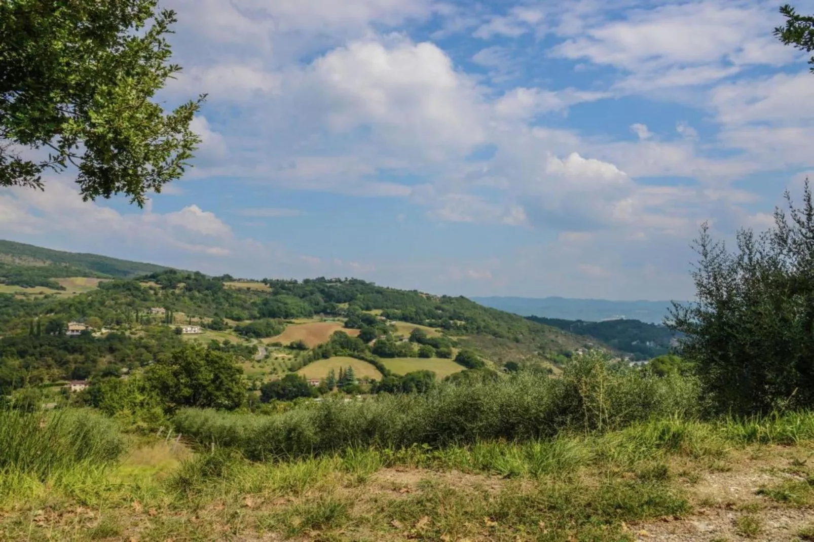 Belvedere-Areas within 5km in summer