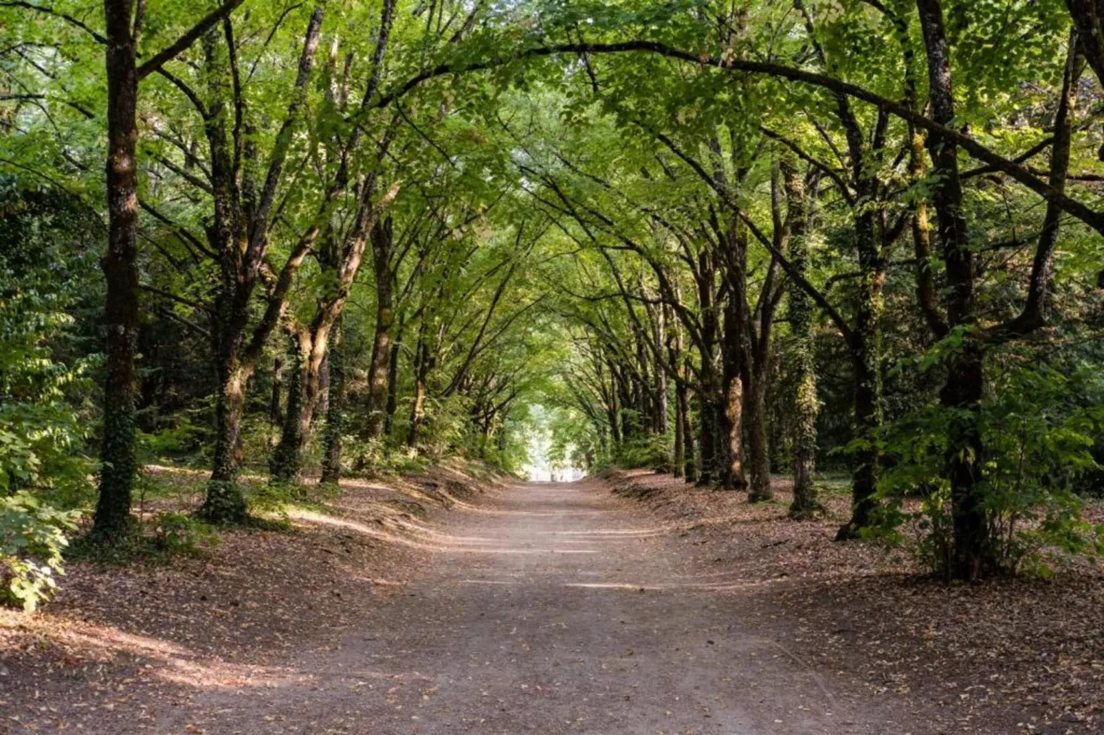 Priore-Areas within 20km in summer