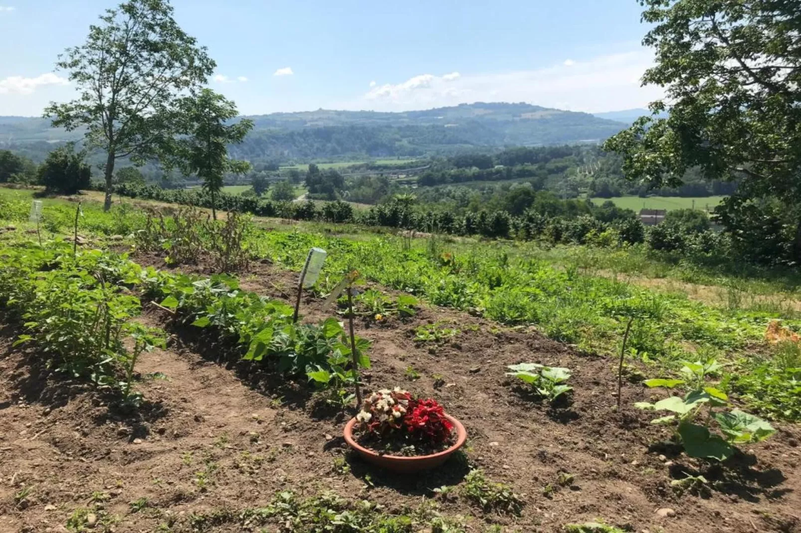 Barolo-Areas within 20km in summer