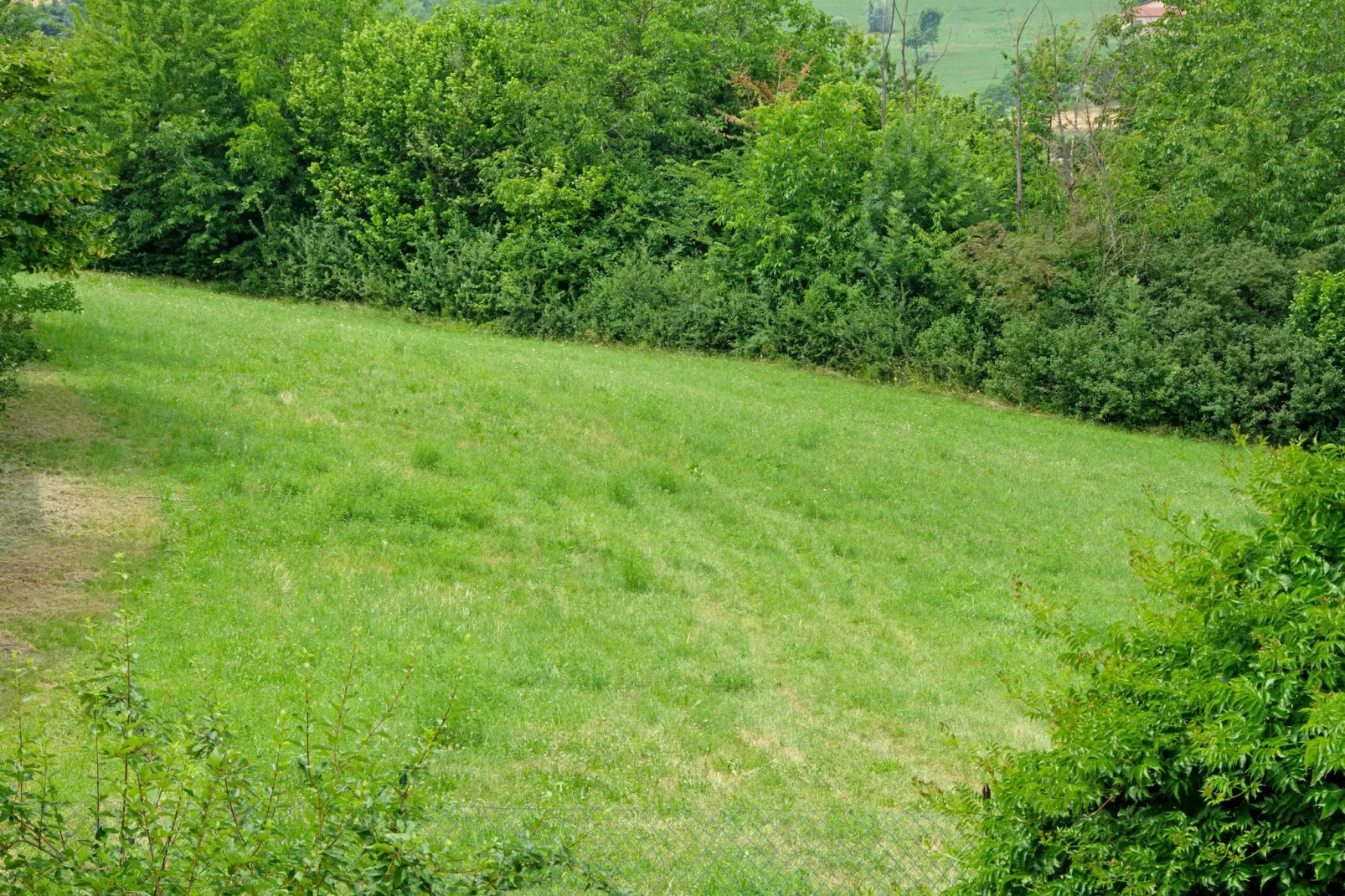 Casale Adriano Country House-Gebiete Sommer 1 km