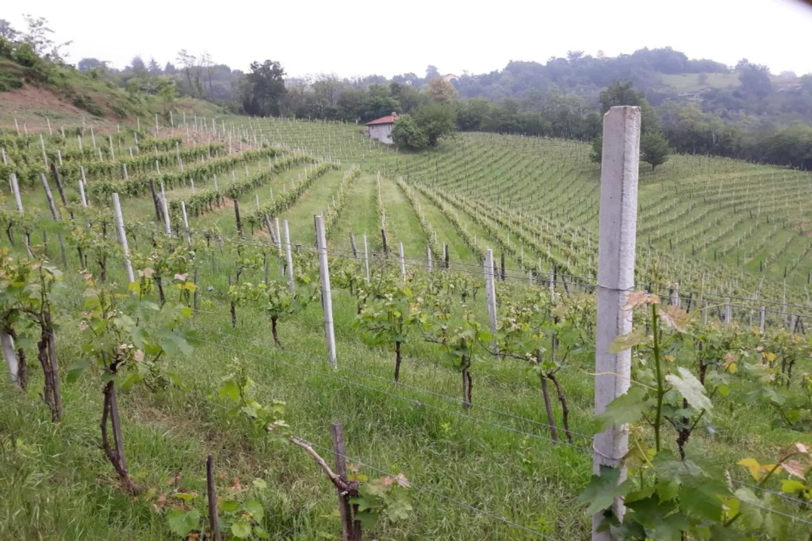 Nobile-Areas within 20km in summer
