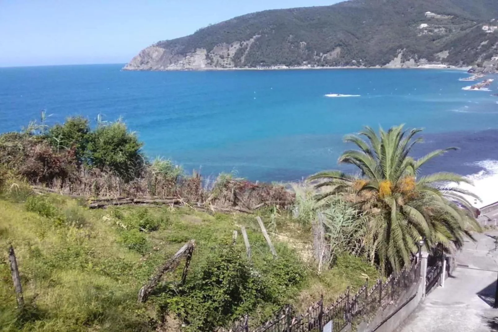 Pizzamiglio Due-Areas within 20km in summer