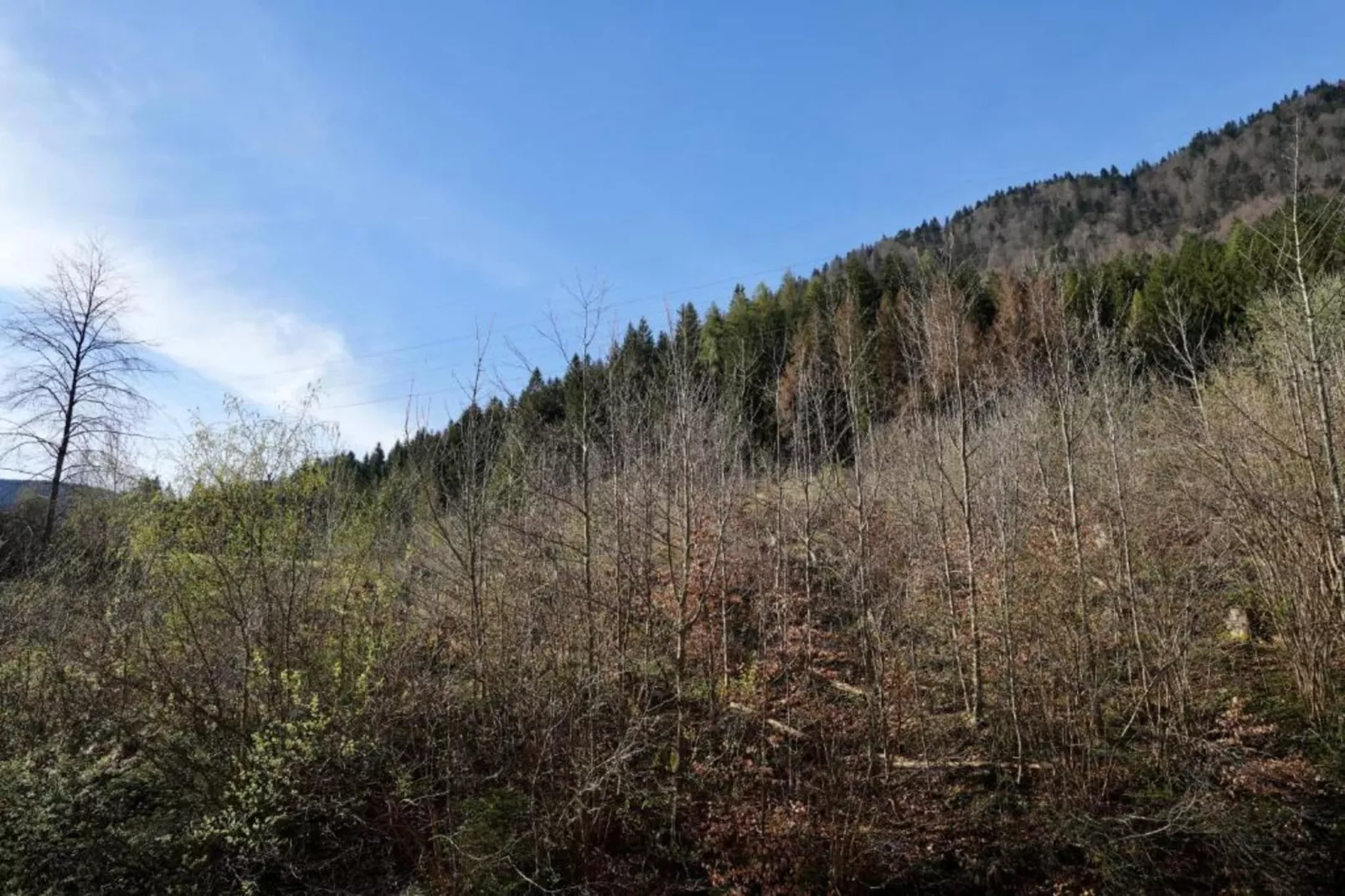 La Bergamina-Areas within 20km in summer